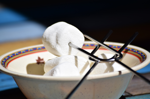 Roasted Marshmallows