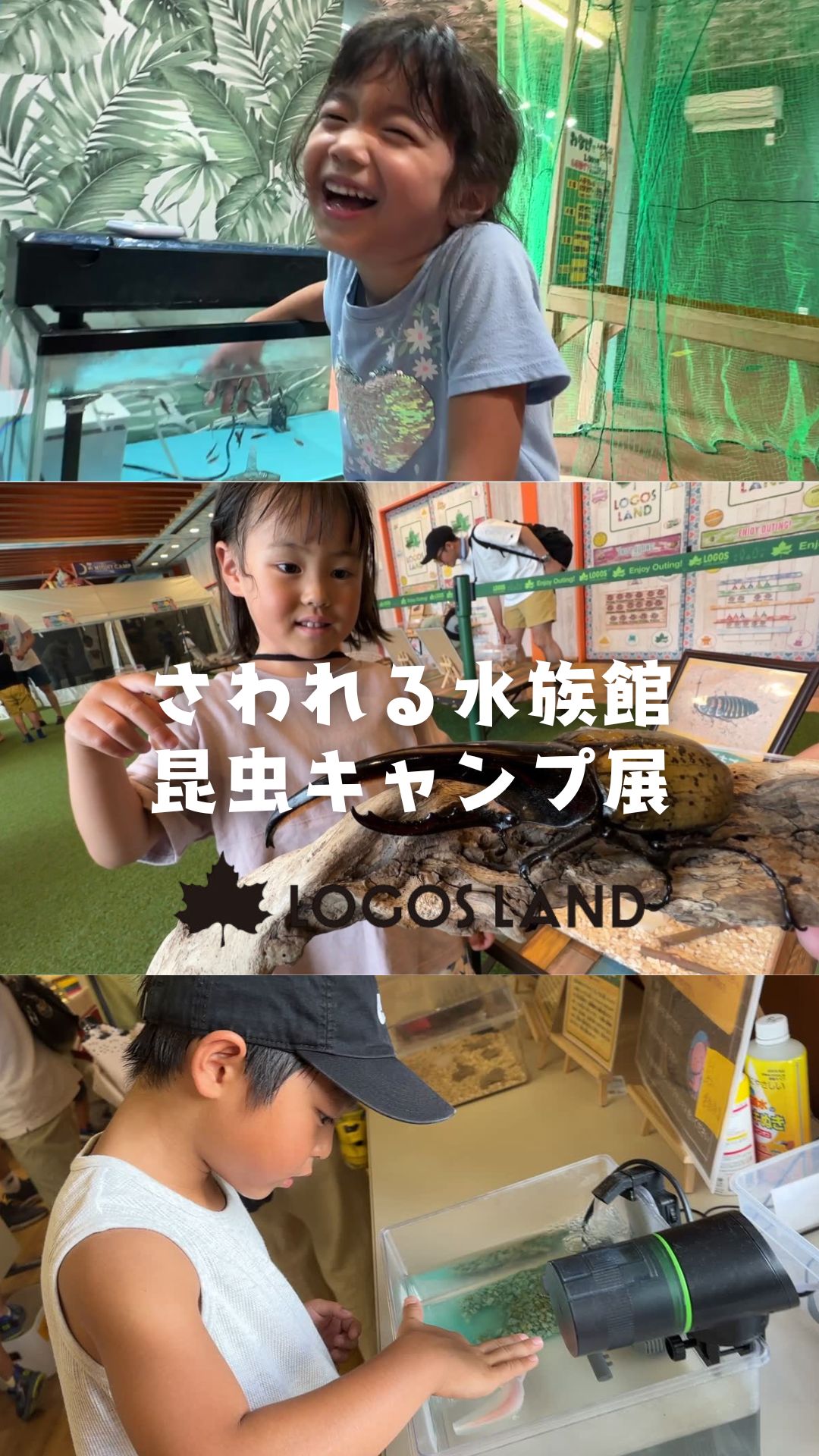 さわれる水族館・昆虫キャンプ展 開催！